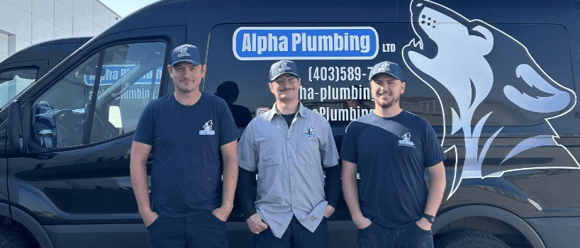 APL team