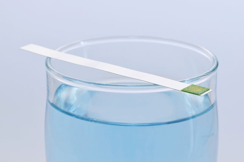 Filter paper testing water.